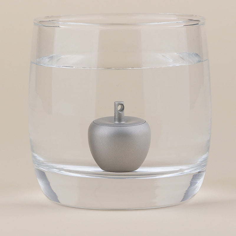 Apple Pure Titanium Small Medicine Box Waterproof Sealed Storage Box Keychain Pendant