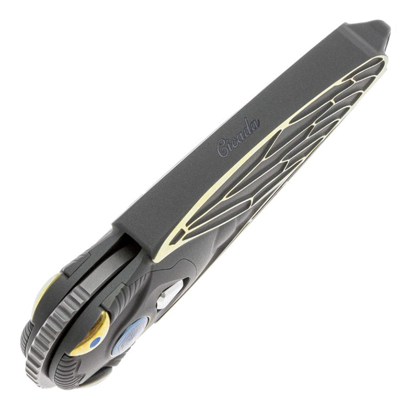 Rike Knife Titanium Alloy Folding Knife M390 Steel Blade Cicada Design EDC Pocket Knife with Necklace Hole Lightweight Wear-Resistant(Dark gray)